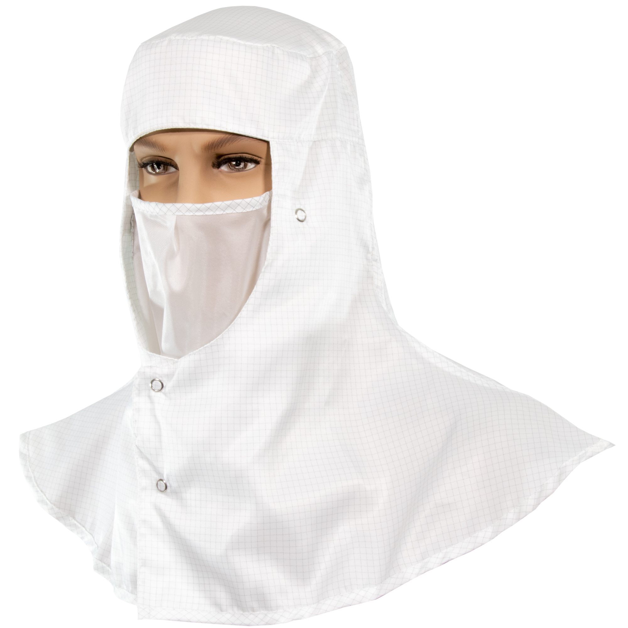 Reusable cleanroom face mask 