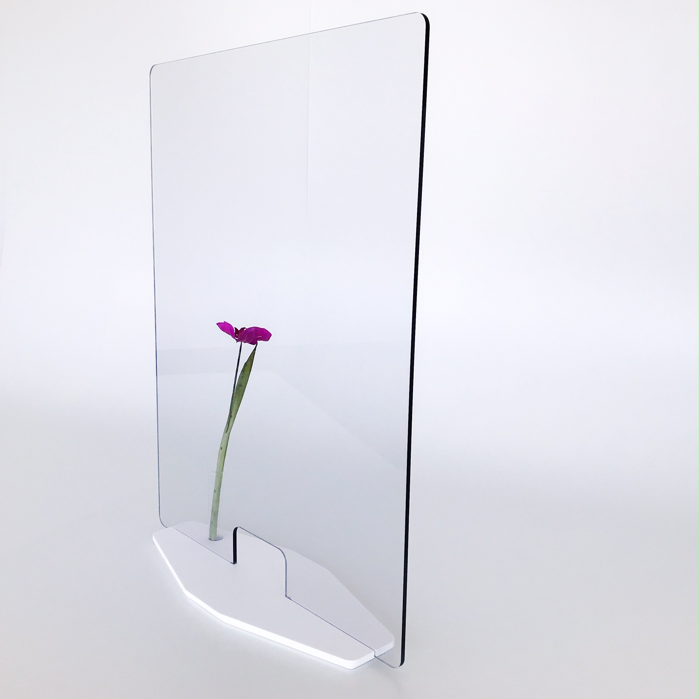 Servus 1 Hygiene Partition